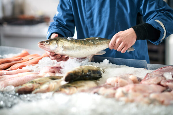 fresh fish in a fishshop